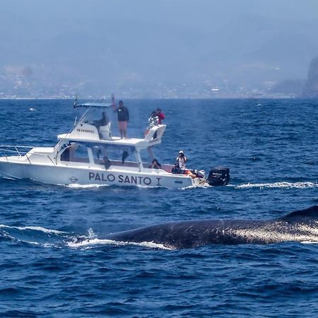 Whale House Hotel Puerto Lopez Bagian luar foto