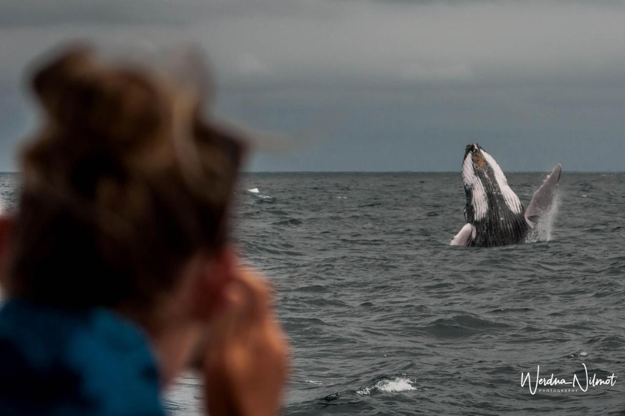 Whale House Hotel Puerto Lopez Bagian luar foto