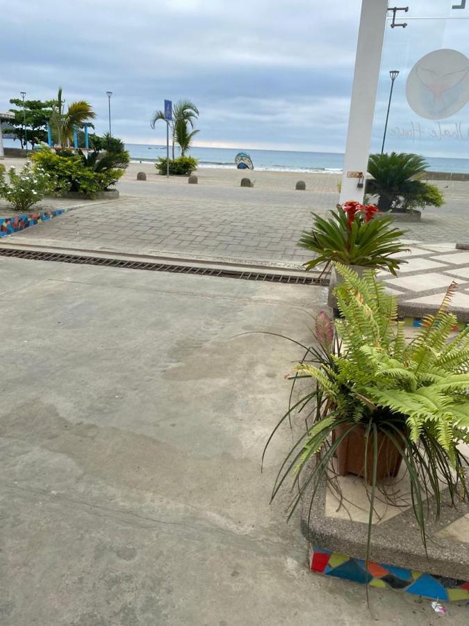 Whale House Hotel Puerto Lopez Bagian luar foto