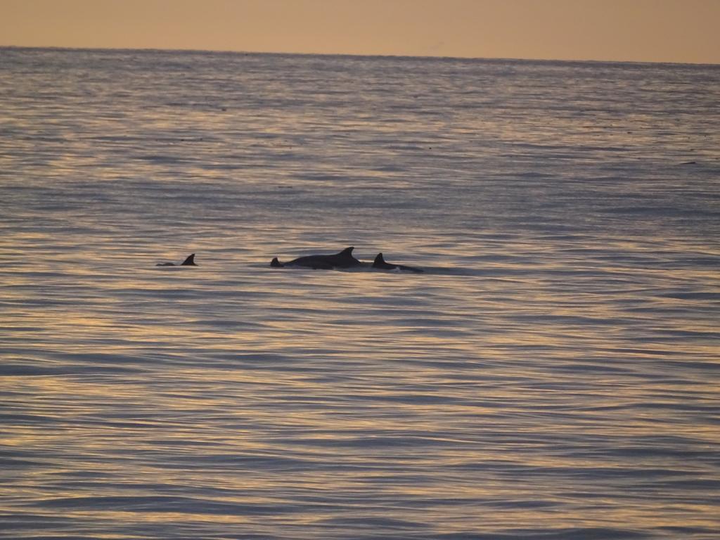 Whale House Hotel Puerto Lopez Bagian luar foto